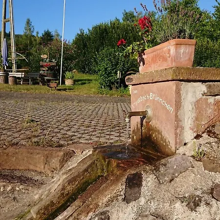 Ferienhaus Klärchen *